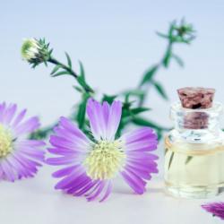 Qu'est-ce que la méditation olfactive ? Qu'est-ce que la méditation olfactive ?