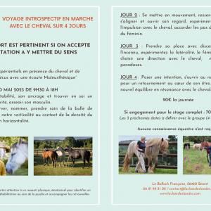 Voyage introspectif en marche avec le cheval 