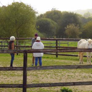 Connaissance de soi en présence du cheval 